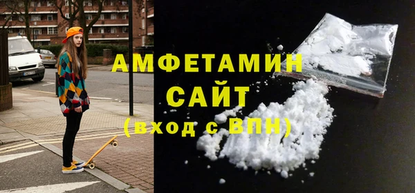 мет Алексин